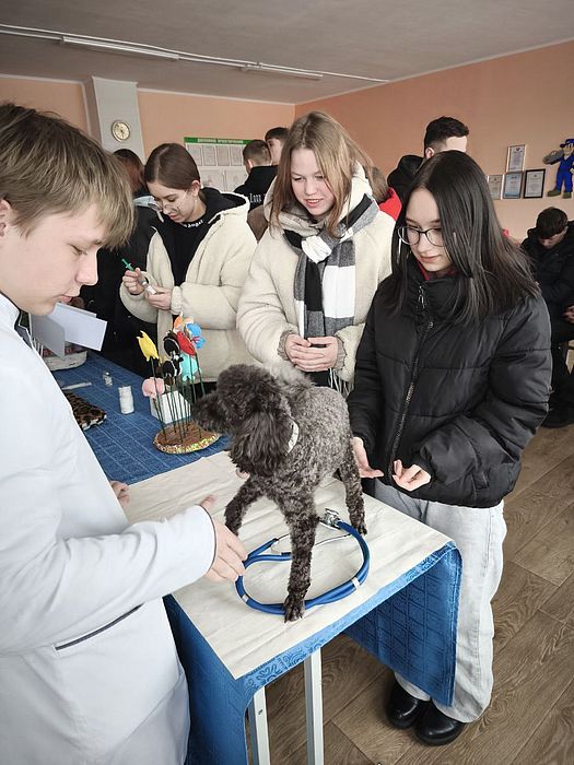 Награда 13