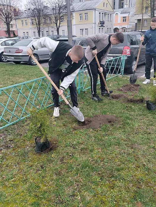 Награда 6