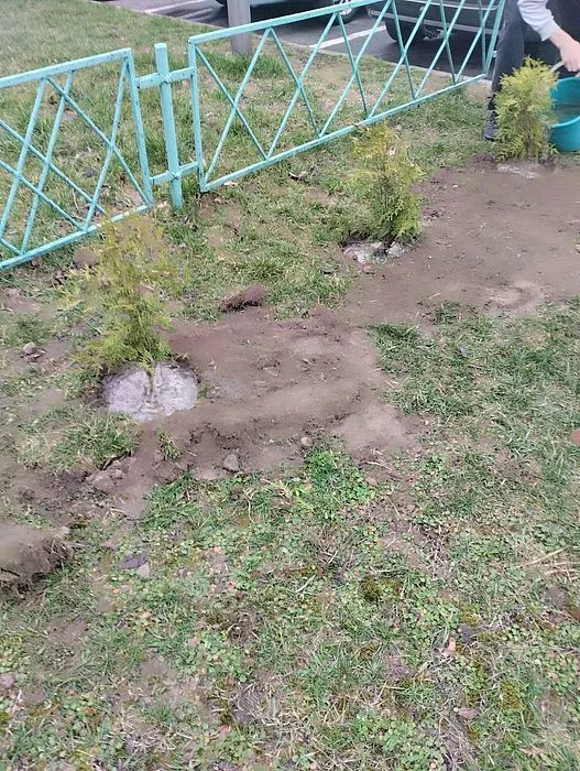Награда 8