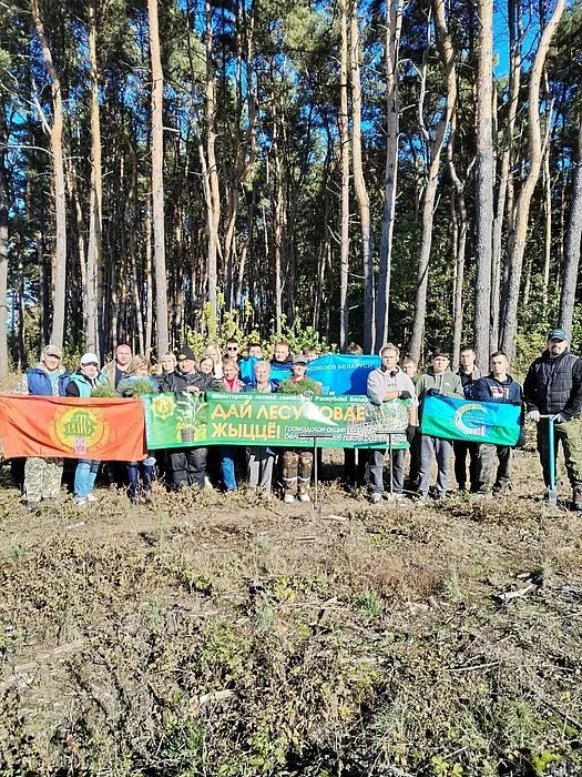 Награда 6