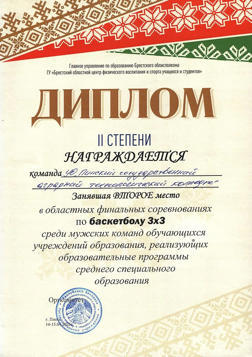 Диплом 2