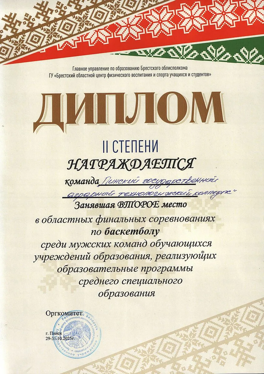 Диплом 4