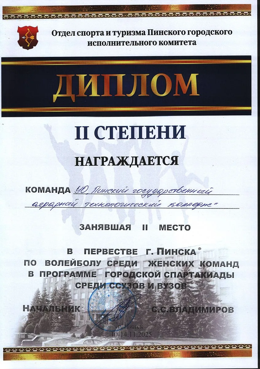 Диплом 6