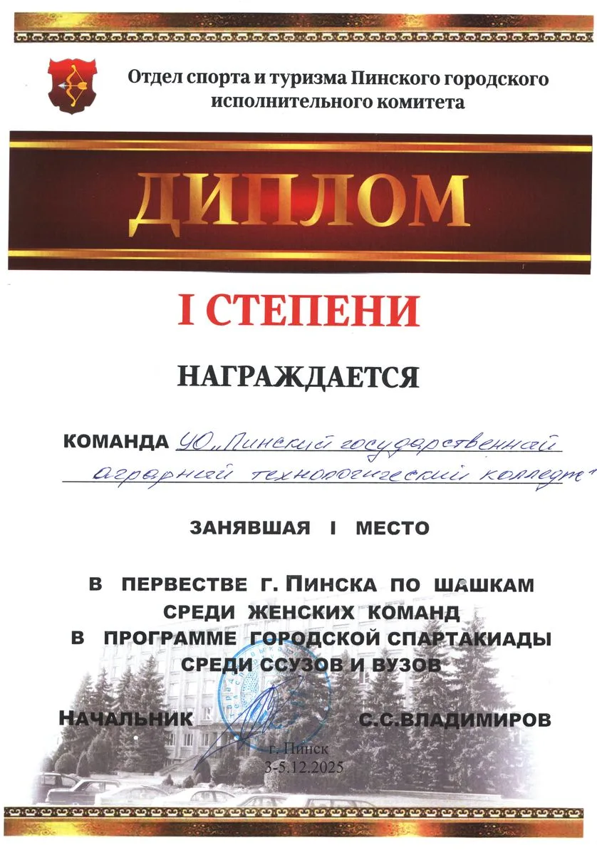 Диплом 8