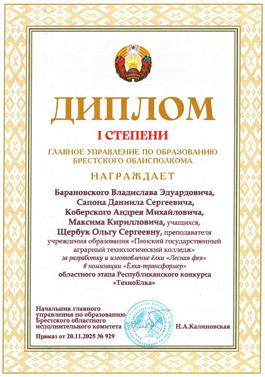 Диплом 10