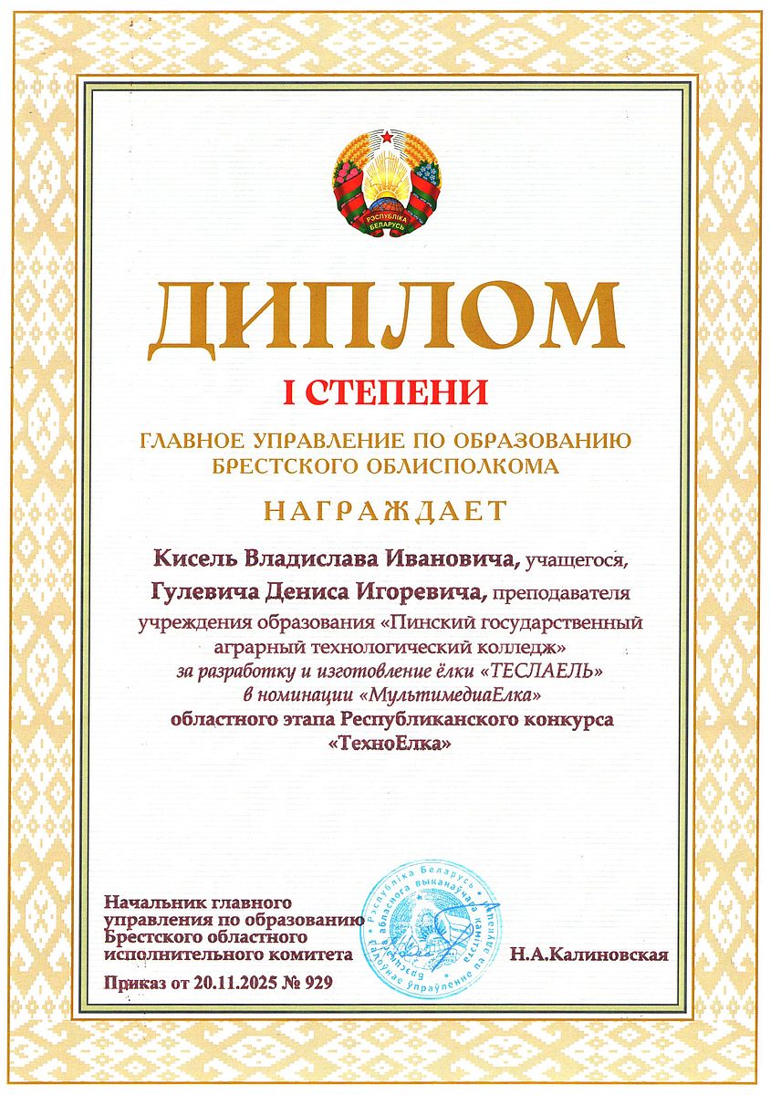 Диплом 11