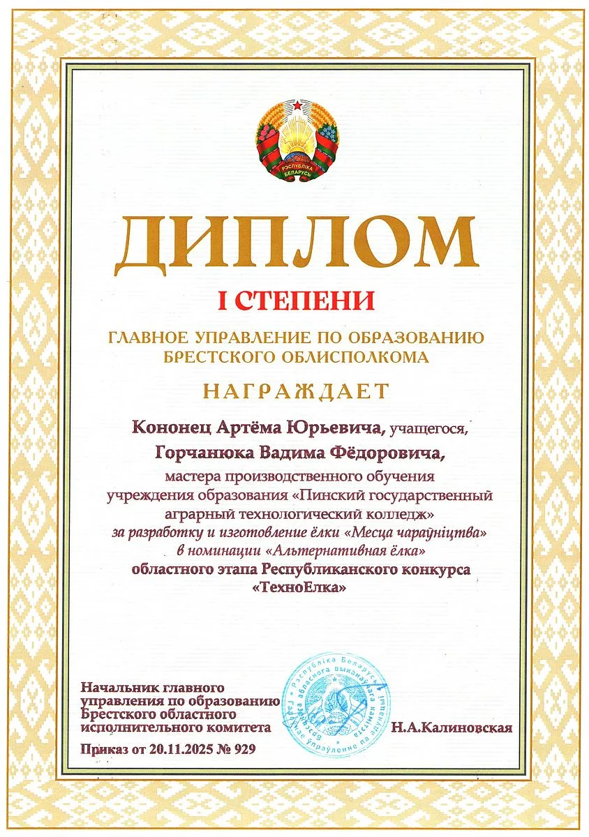 Диплом 14