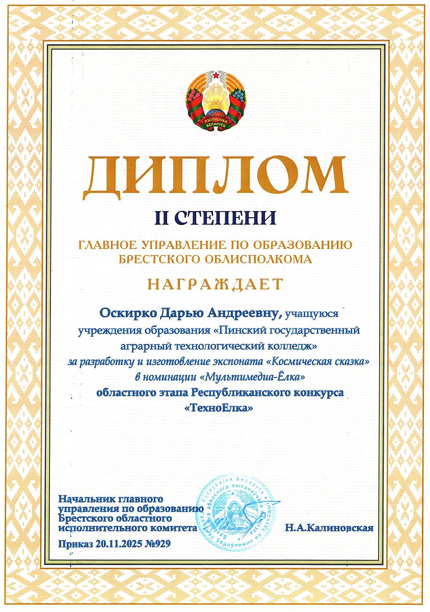 Диплом 15