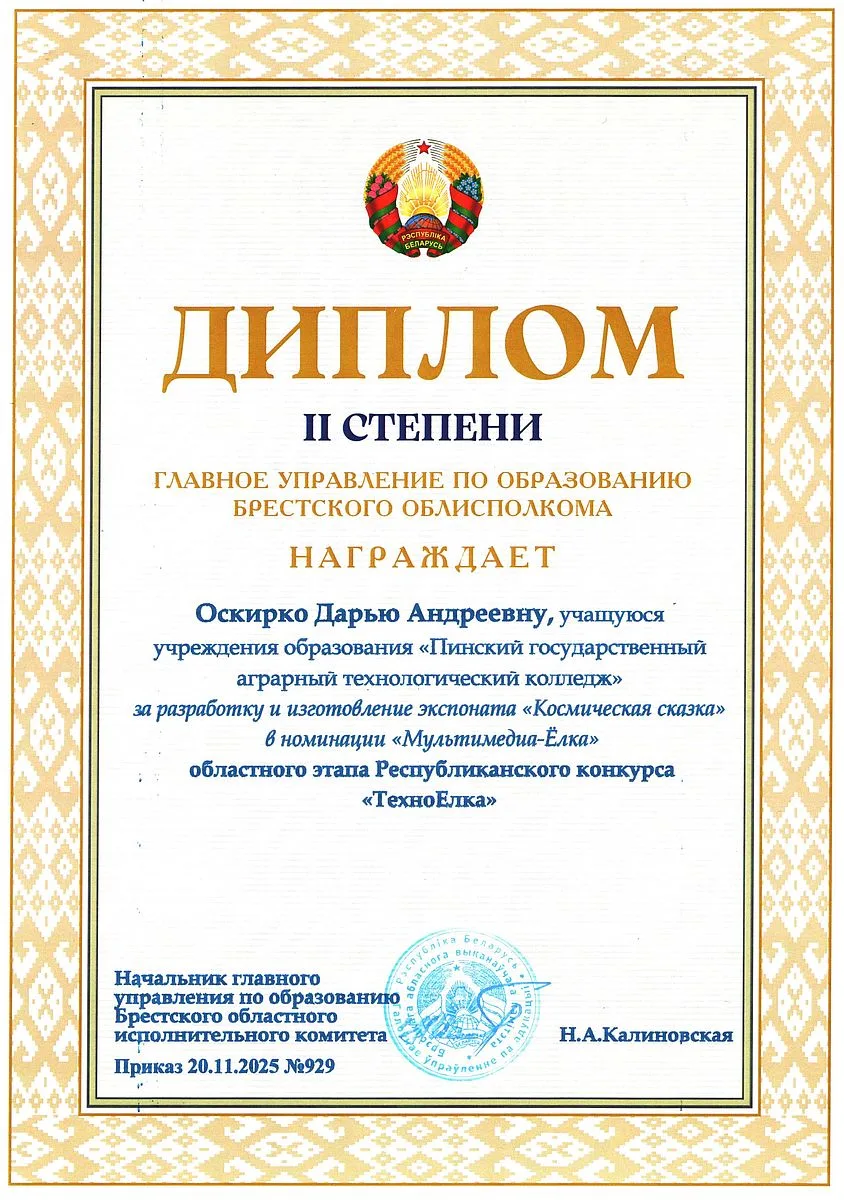 Диплом 16
