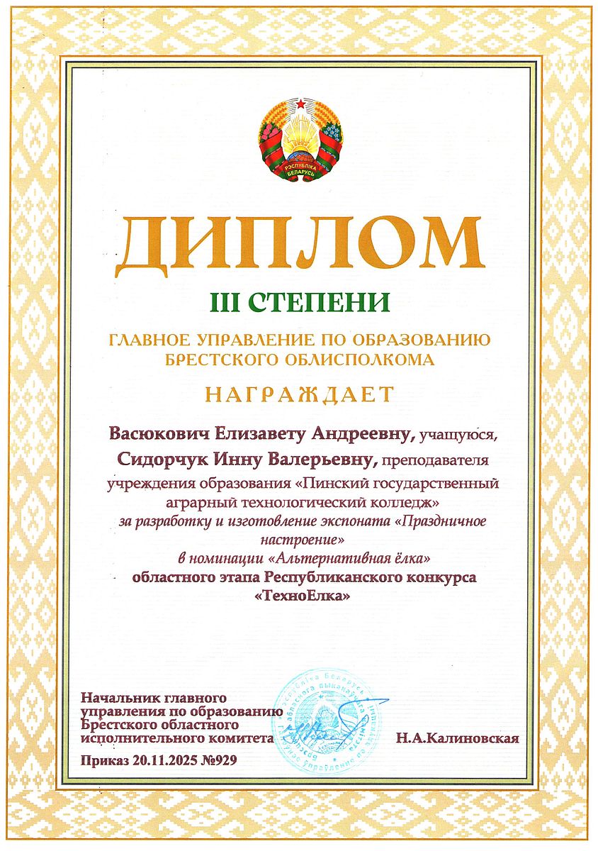 Диплом 17