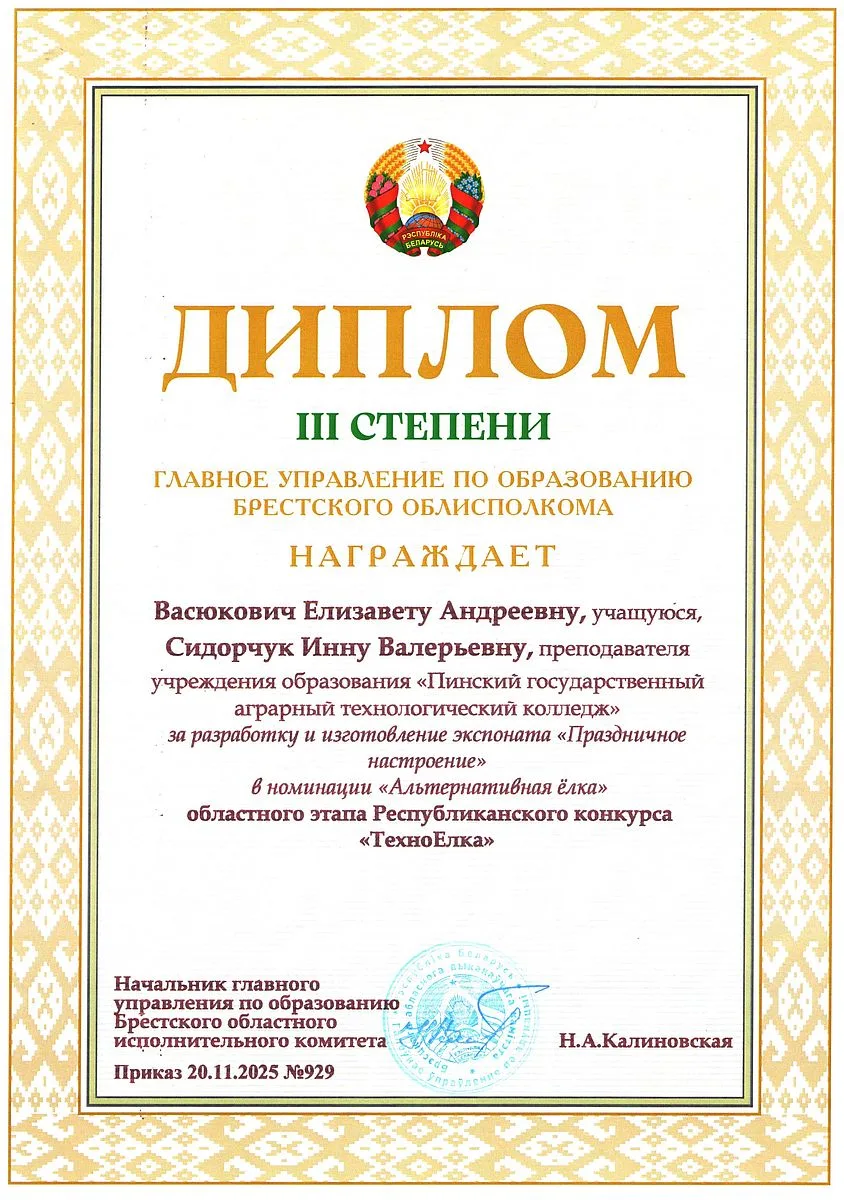 Диплом 18