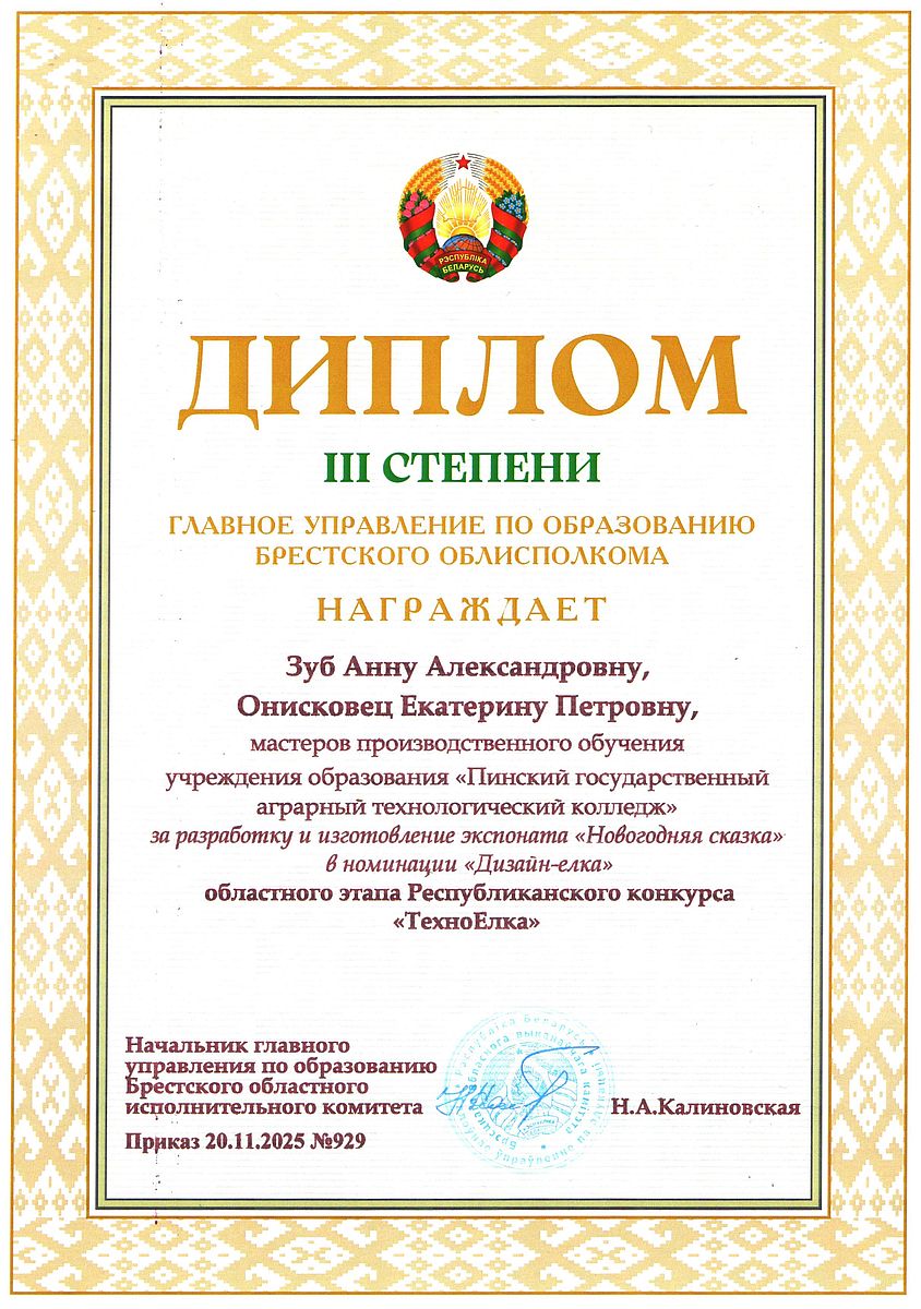 Диплом 19