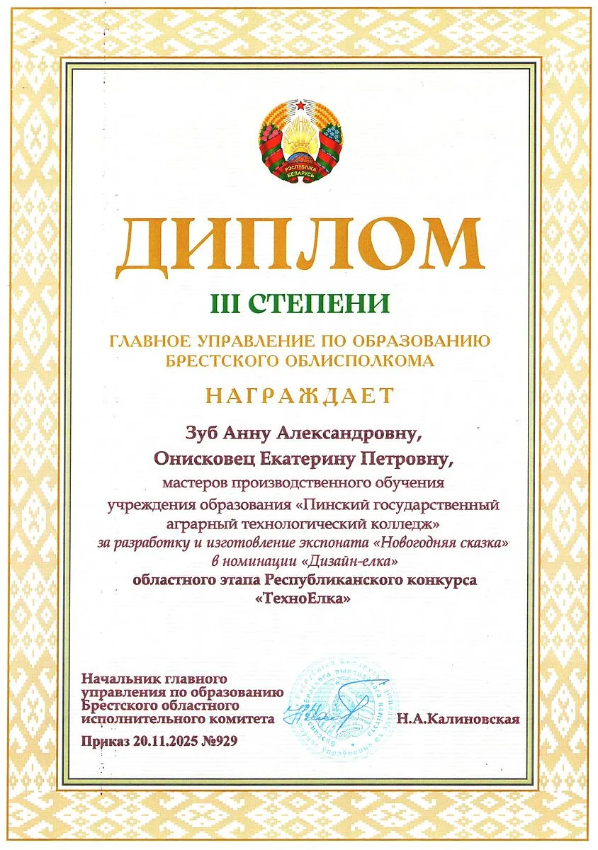 Диплом 20