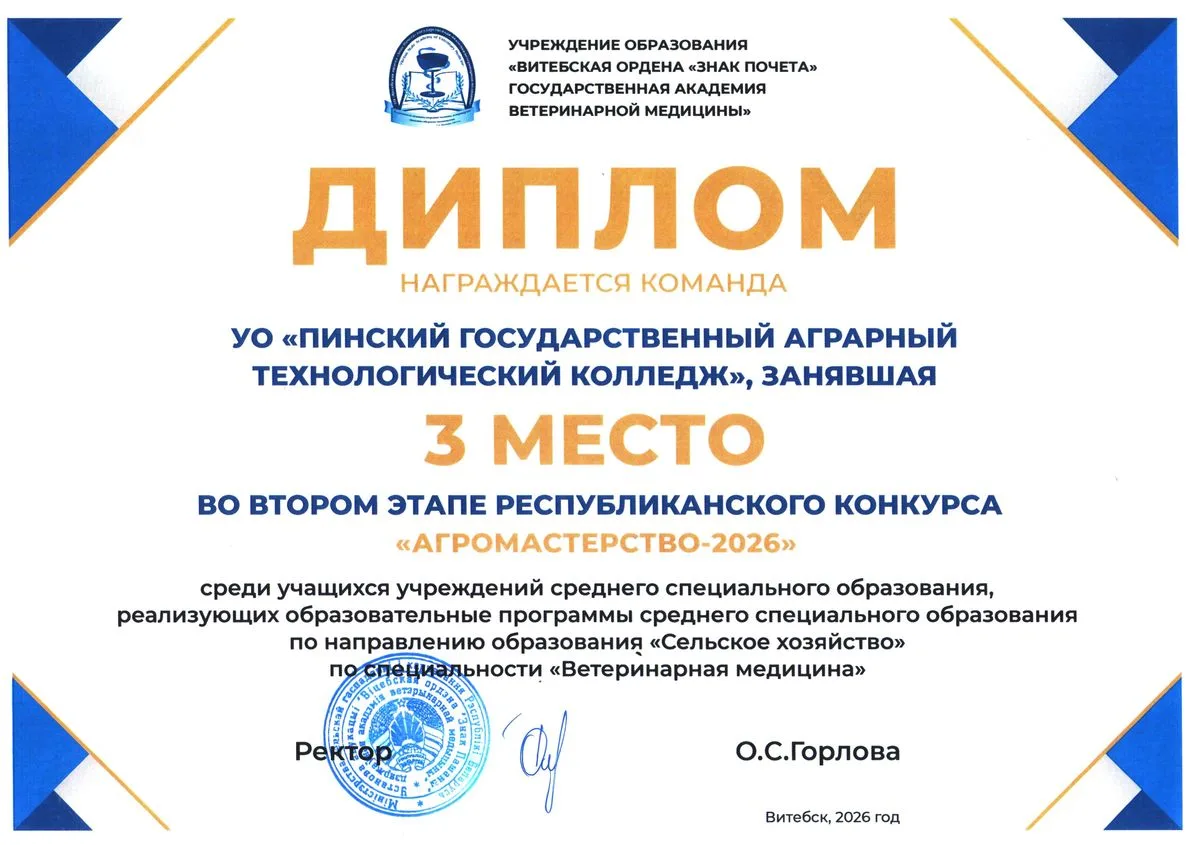 Диплом 26