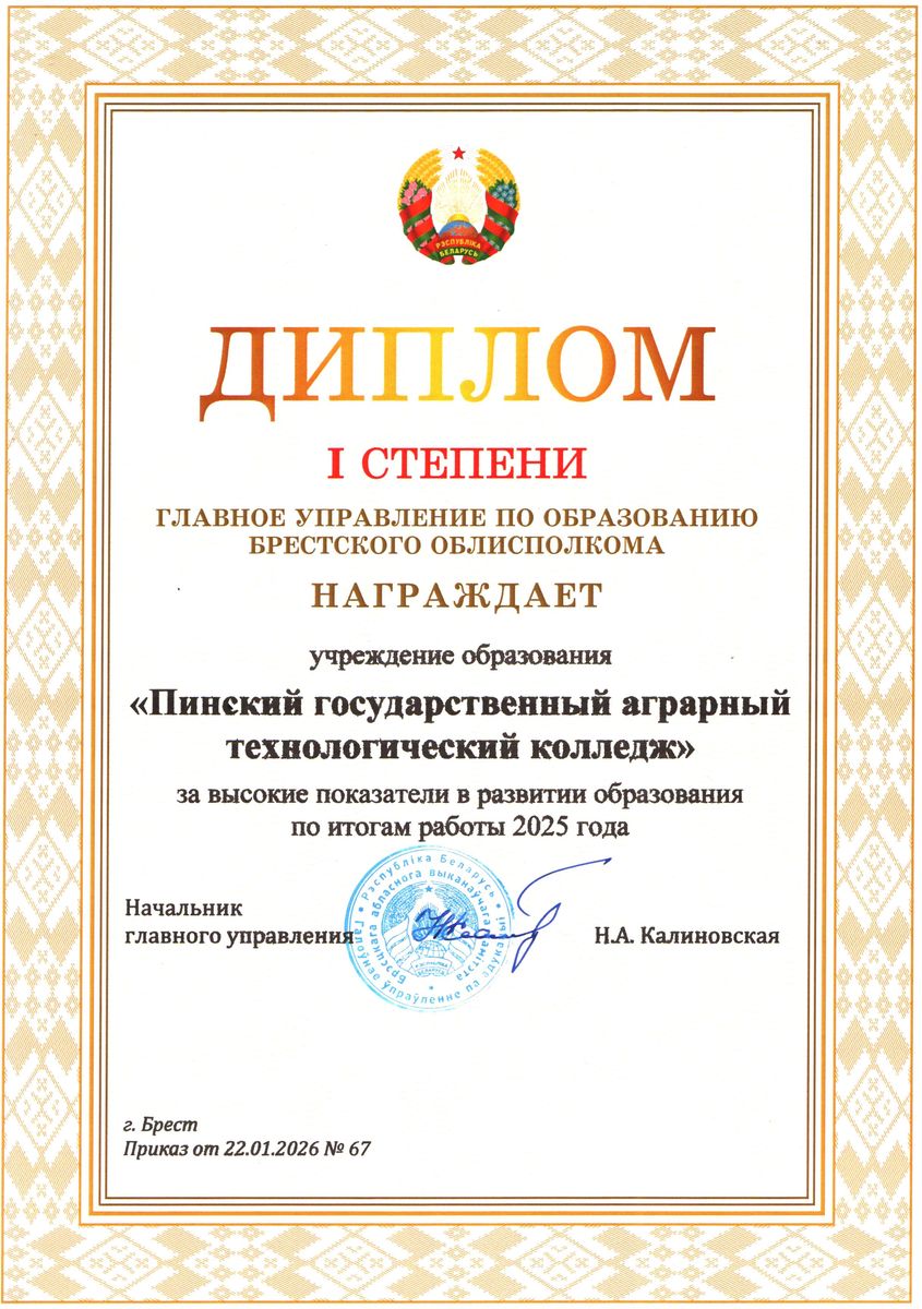Диплом 27