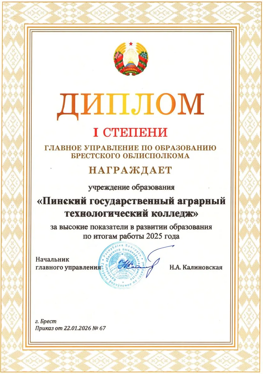 Диплом 28