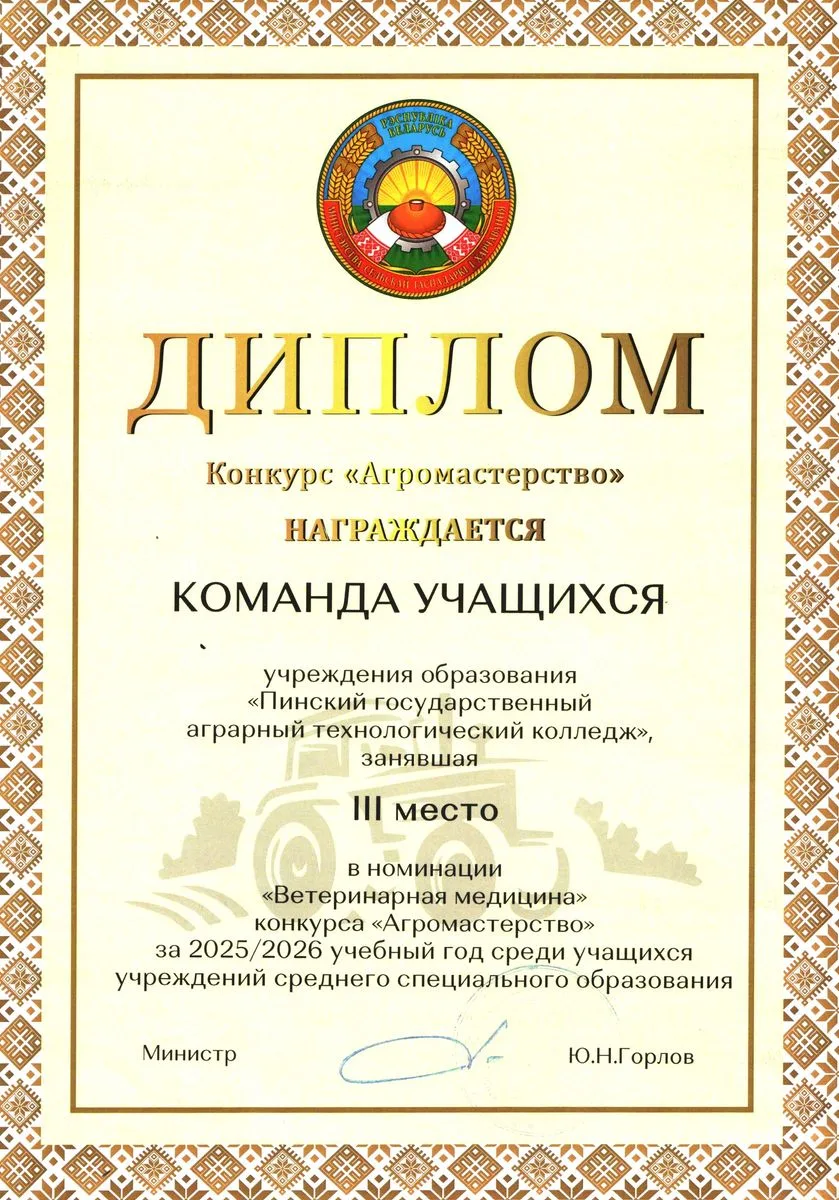 Диплом 30