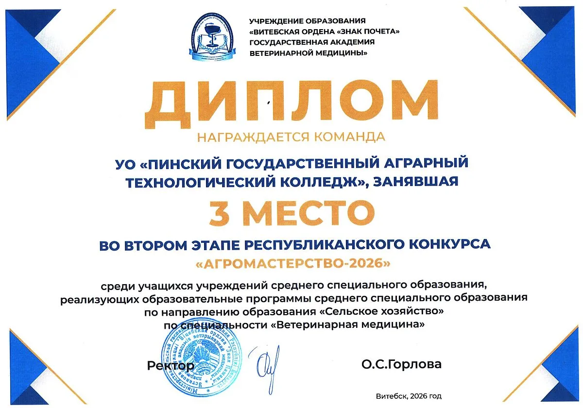 Диплом 62