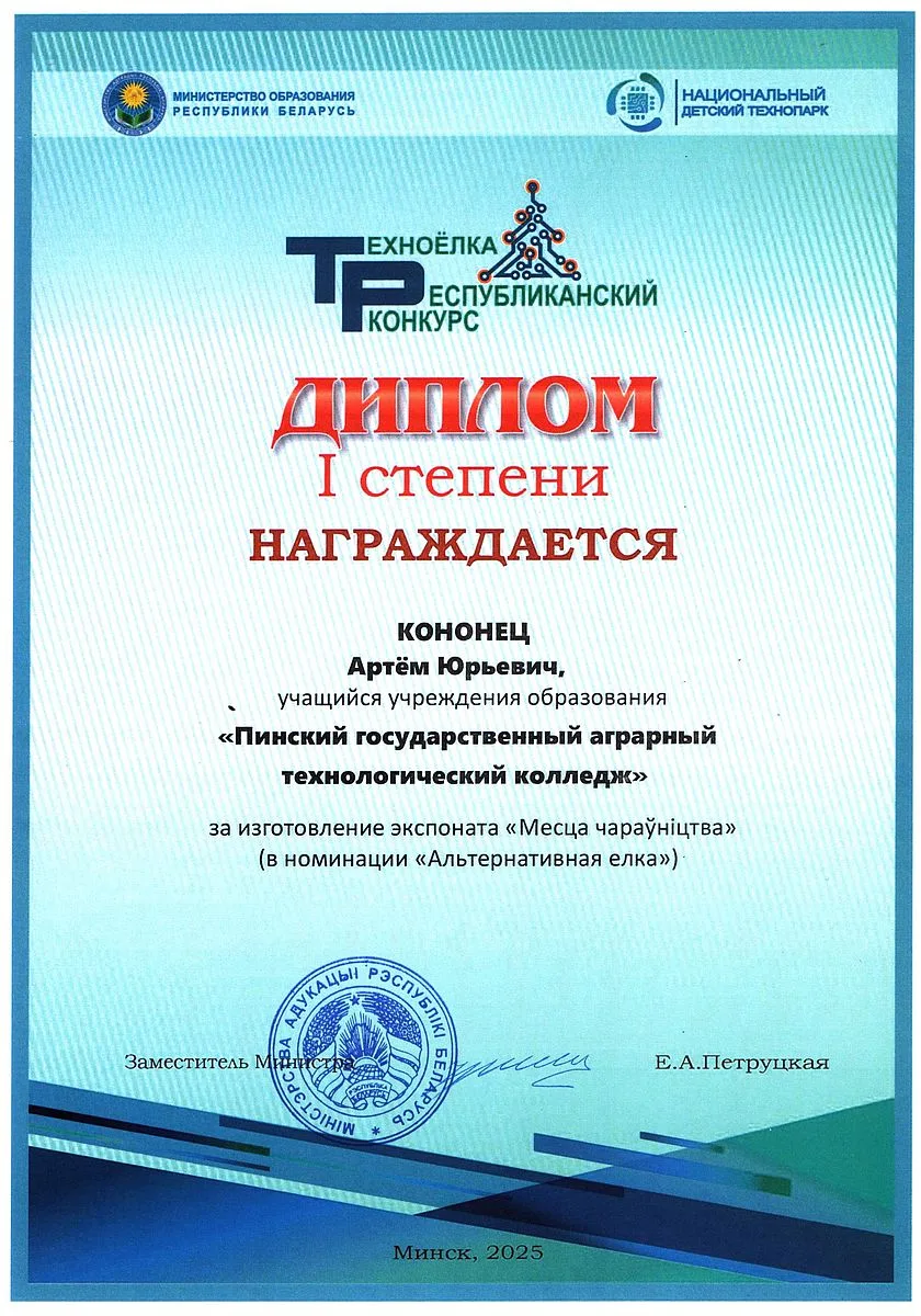 Диплом 70